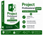 Project Professional 2019 Lifetime Email Bind License Key